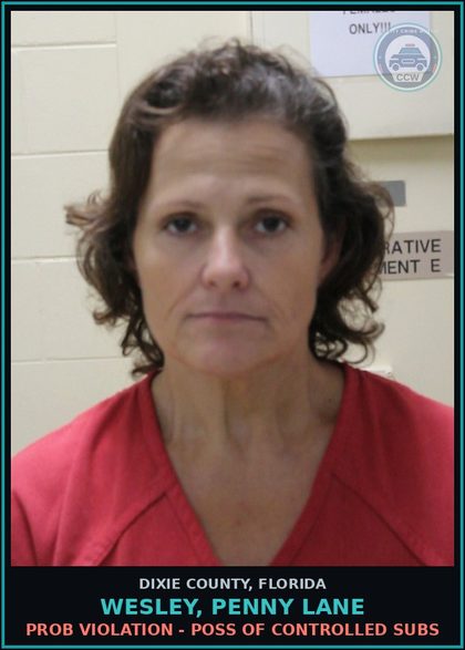 CCW arrest card for WESLEY, PENNY LANE in Dixie County: PROB VIOLATION - POSS OF CONTROLLED SUBS