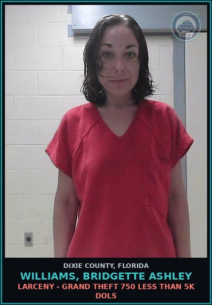 CCW arrest card for WILLIAMS, BRIDGETTE ASHLEY in Dixie County: BURGL - UNOCCUPIED STRUCTURE UNARMED