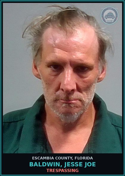 CCW arrest card for BALDWIN, JESSE JOE in Escambia County: LARC