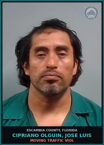 CCW arrest card for CIPRIANO OLGUIN, JOSE LUIS in Escambia County: MOVING TRAFFIC VIOL