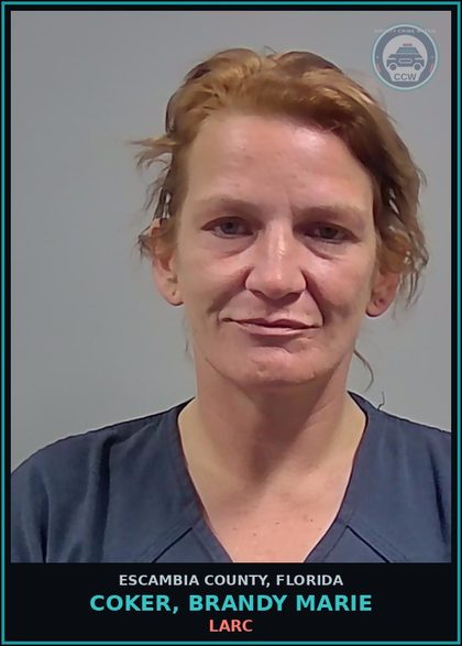 CCW arrest card for COKER, BRANDY MARIE in Escambia County: LARC