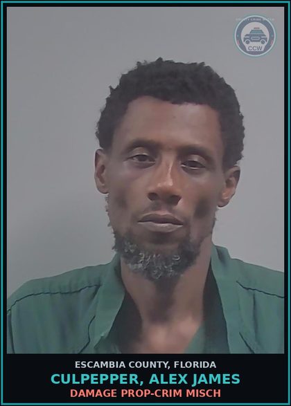 CCW arrest card for CULPEPPER, ALEX JAMES in Escambia County: DAMAGE PROP-CRIM MISCH