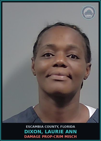 CCW arrest card for DIXON, LAURIE ANN in Escambia County: DAMAGE PROP-CRIM MISCH