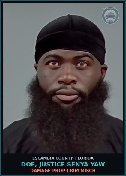 CCW arrest card for DOE, JUSTICE SENYA YAW in Escambia County: DAMAGE PROP-CRIM MISCH