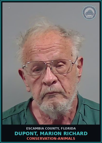 CCW arrest card for DUPONT, MARION RICHARD in Escambia County: CONSERVATION-ANIMALS