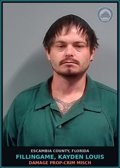 CCW arrest card for FILLINGAME, KAYDEN LOUIS in Escambia County: DAMAGE PROP-CRIM MISCH