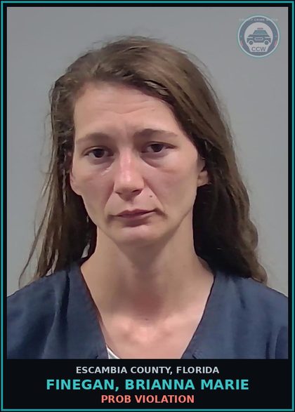 CCW arrest card for FINEGAN, BRIANNA MARIE in Escambia County: PROB VIOLATION