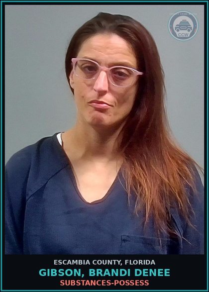 CCW arrest card for GIBSON, BRANDI DENEE in Escambia County: DRUGS-POSSESS