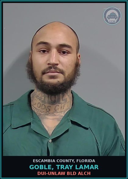 CCW arrest card for GOBLE, TRAY LAMAR in Escambia County: NEGLECT chld