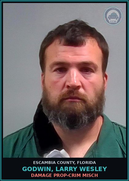 CCW arrest card for GODWIN, LARRY WESLEY in Escambia County: DAMAGE PROP-CRIM MISCH