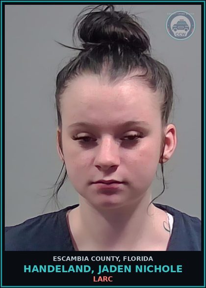 CCW arrest card for HANDELAND, JADEN NICHOLE in Escambia County: LARC