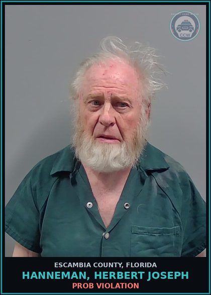 CCW arrest card for HANNEMAN, HERBERT JOSEPH in Escambia County: PROB VIOLATION