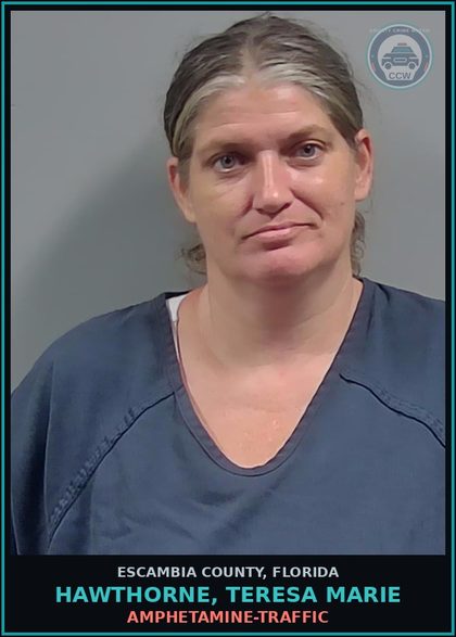 CCW arrest card for HAWTHORNE, TERESA MARIE in Escambia County: AMPHETAMINE-TRAFFIC