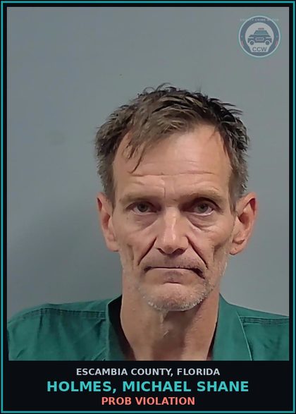 CCW arrest card for HOLMES, MICHAEL SHANE in Escambia County: PROB VIOLATION