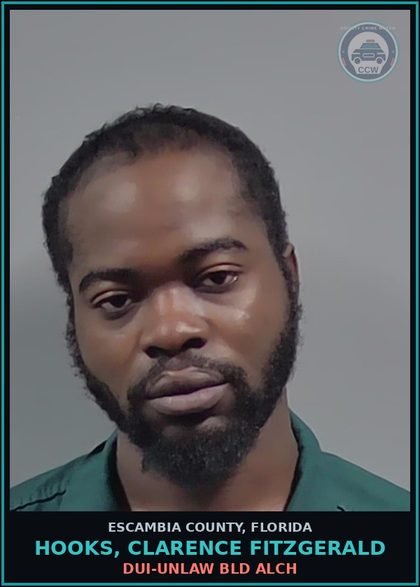 CCW arrest card for HOOKS, CLARENCE FITZGERALD in Escambia County: MOVING TRAFFIC VIOL