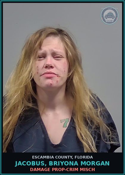 CCW arrest card for JACOBUS, BRIYONA MORGAN in Escambia County: DAMAGE PROP-CRIM MISCH