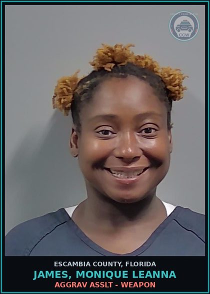 CCW arrest card for JAMES, MONIQUE LEANNA in Escambia County: AGGRAV ASSLT - WEAPON