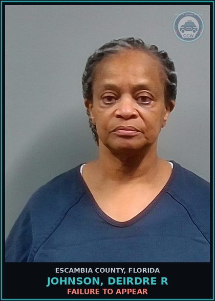 CCW arrest card for JOHNSON, DEIRDRE R in Escambia County: FAILURE TO APPEAR