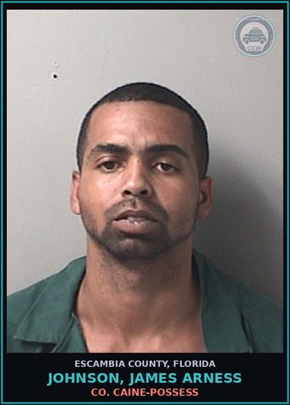 CCW arrest card for JOHNSON, JAMES ARNESS in Escambia County: COCAINE-POSSESS