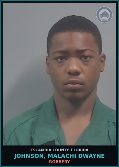 CCW arrest card for JOHNSON, MALACHI DWAYNE in Escambia County: BATTERY