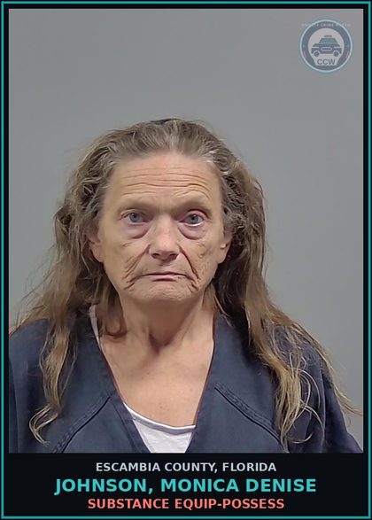 CCW arrest card for JOHNSON, MONICA DENISE in Escambia County: DRUG EQUIP-POSSESS