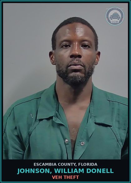 CCW arrest card for JOHNSON, WILLIAM DONELL in Escambia County: VEH THEFT