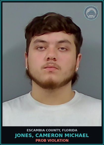 CCW arrest card for JONES, CAMERON MICHAEL in Escambia County: PROB VIOLATION