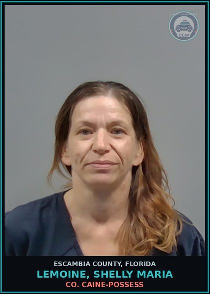 CCW arrest card for LEMOINE, SHELLY MARIA in Escambia County: COCAINE-POSSESS