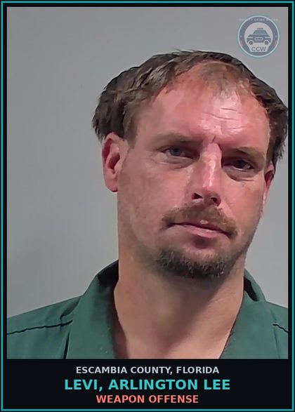 CCW arrest card for LEVI, ARLINGTON LEE in Escambia County: DAMAGE PROP-CRIM MISCH