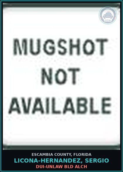 CCW arrest card for LICONA-HERNANDEZ, SERGIO in Escambia County: DUI-UNLAW BLD ALCH