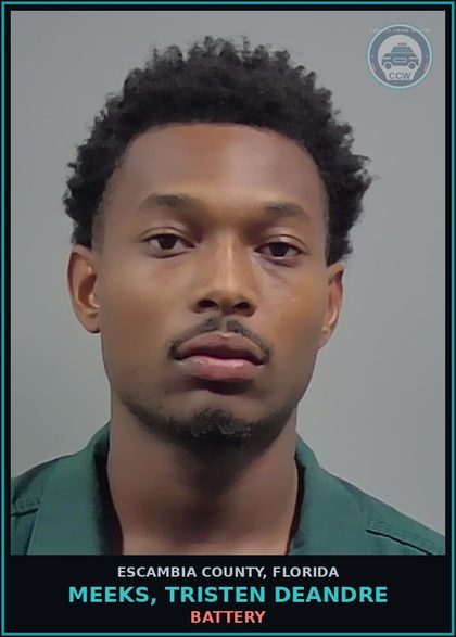 CCW arrest card for MEEKS, TRISTEN DEANDRE in Escambia County: BATTERY