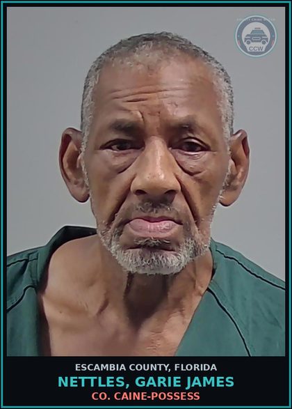 CCW arrest card for NETTLES, GARIE JAMES in Escambia County: COCAINE-POSSESS