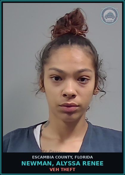 CCW arrest card for NEWMAN, ALYSSA RENEE in Escambia County: VEH THEFT