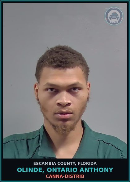 CCW arrest card for OLINDE, ONTARIO ANTHONY in Escambia County: Canna-DISTRIB