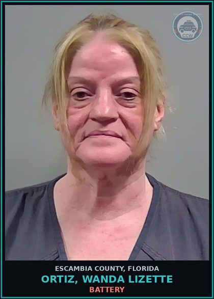 CCW arrest card for ORTIZ, WANDA LIZETTE in Escambia County: DAMAGE PROP-CRIM MISCH