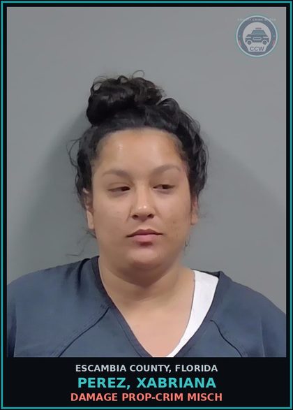 CCW arrest card for PEREZ, XABRIANA in Escambia County: DAMAGE PROP-CRIM MISCH