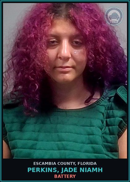 CCW arrest card for PERKINS, JADE NIAMH in Escambia County: BATTERY