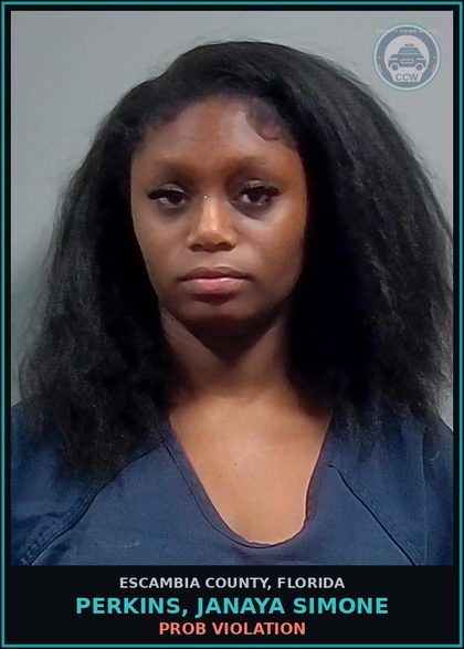 CCW arrest card for PERKINS, JANAYA SIMONE in Escambia County: PROB VIOLATION