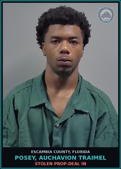 CCW arrest card for POSEY, AUCHAVION TRAIMEL in Escambia County: STOLEN PROP-DEAL IN