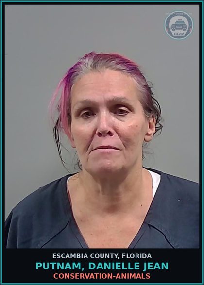 CCW arrest card for PUTNAM, DANIELLE JEAN in Escambia County: CONSERVATION-ANIMALS