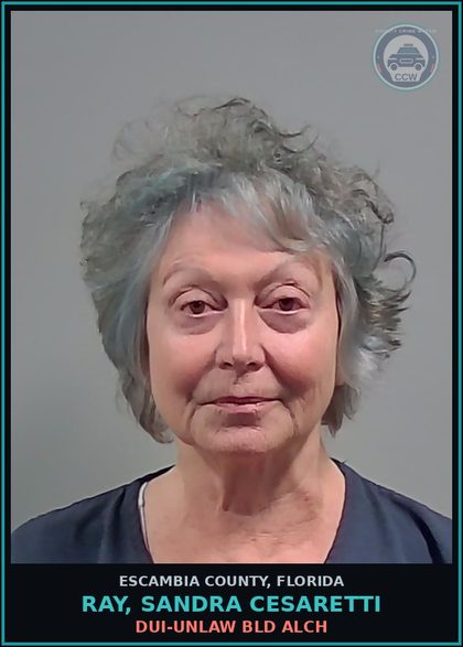 CCW arrest card for RAY, SANDRA CESARETTI in Escambia County: DUI-UNLAW BLD ALCH
