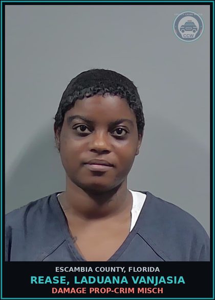CCW arrest card for REASE, LADUANA VANJASIA in Escambia County: DAMAGE PROP-CRIM MISCH