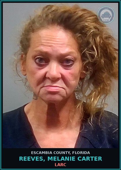 CCW arrest card for REEVES, MELANIE CARTER in Escambia County: LARC