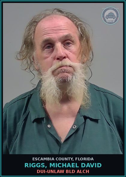 CCW arrest card for RIGGS, MICHAEL DAVID in Escambia County: PROB VIOLATION