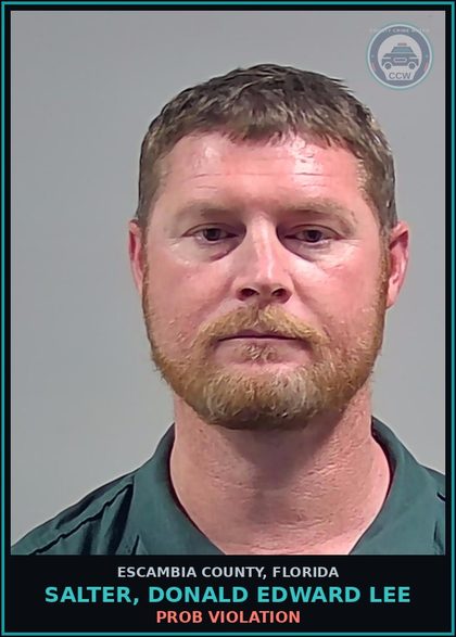CCW arrest card for SALTER, DONALD EDWARD LEE in Escambia County: PROB VIOLATION