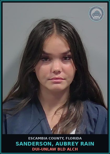 CCW arrest card for SANDERSON, AUBREY RAIN in Escambia County: DUI-UNLAW BLD ALCH
