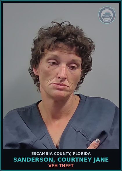 CCW arrest card for SANDERSON, COURTNEY JANE in Escambia County: VEH THEFT