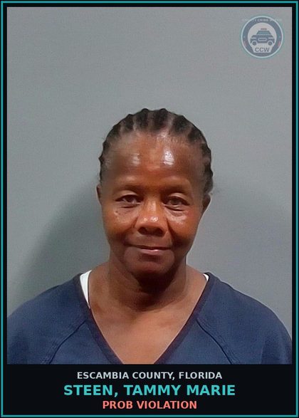 CCW arrest card for STEEN, TAMMY MARIE in Escambia County: PROB VIOLATION