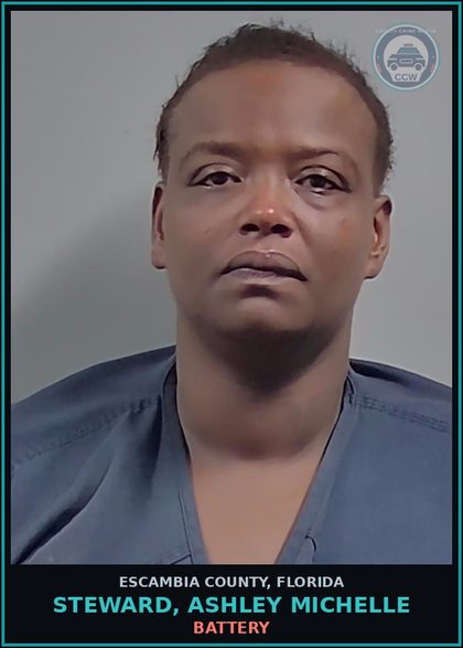 CCW arrest card for STEWARD, ASHLEY MICHELLE in Escambia County: BATTERY