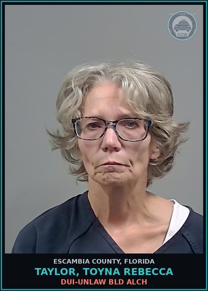 CCW arrest card for TAYLOR, TOYNA REBECCA in Escambia County: HIT AND RUN